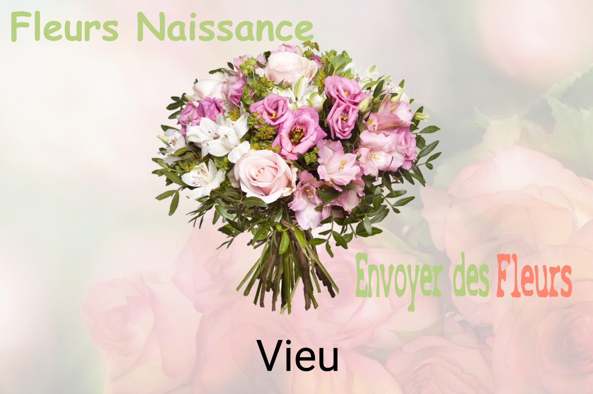 Bouquet de fleurs de naissance livré à Vieu